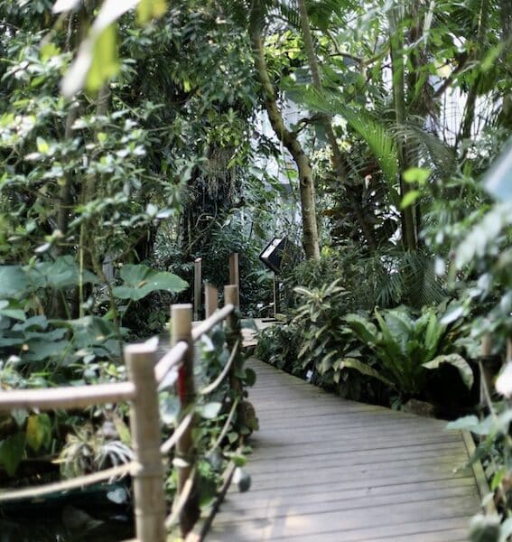 Botanische Gärten in der Nähe des Thüringer Waldes