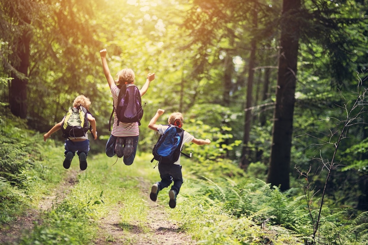 Wanderrouten im Thüringer Wald